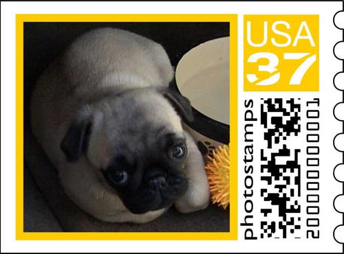 Sheba Stamp Series 1 Number 2