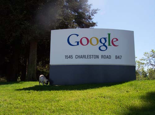Sheba and the Google sign