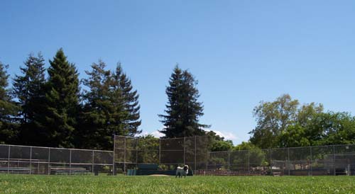 Sheba on the baseball field