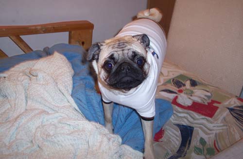 Sheba with her gift card