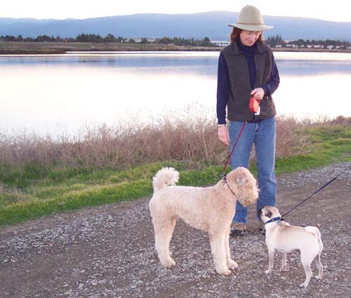 Sheba and Nice Friend