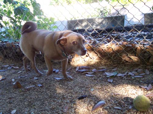 Our new friend who watched it all