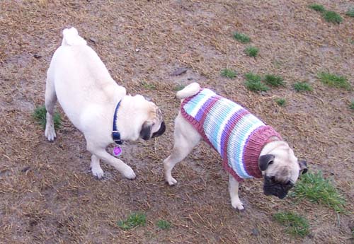 Katie in her Sweater