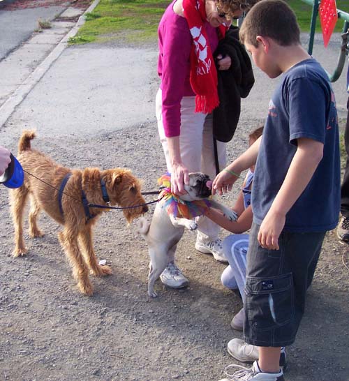 Entering the Park with Kisses!