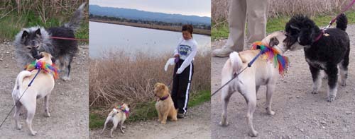 More Friends on the Bay