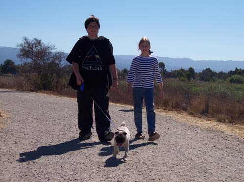 Adam, Julia and Sheba SF Bay walk