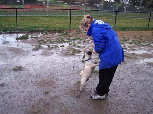 Trying to play with Peep in the Mud
