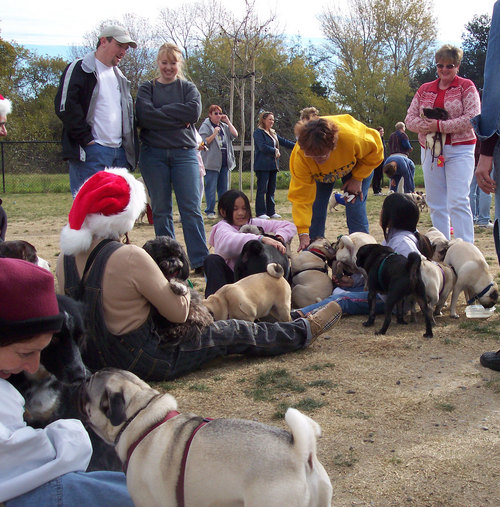 Hug Pug Pile 2004