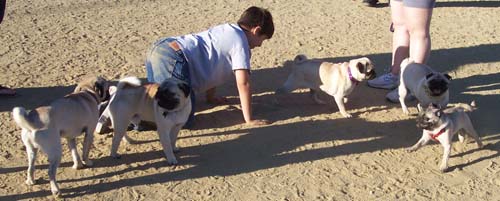 Little Sierra making a run