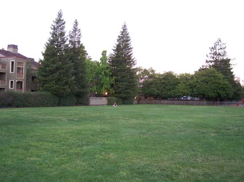 Sheba gets hugged by Stacy