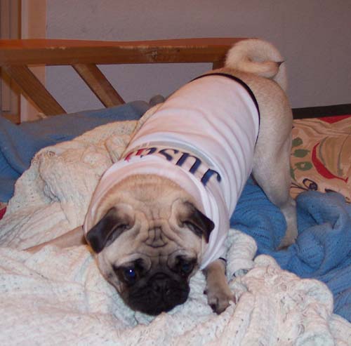 Sheba with her gift card