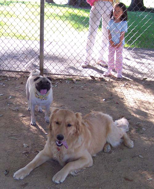 Sheba and Daisy smiling