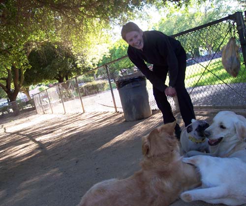 Puppies having fun with Peeps