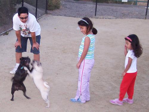 Little Sheba dancing with Mikey