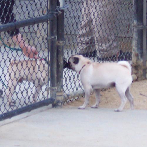 Roy and I meet for the first time