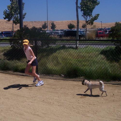 Little Sheba chasing Julia at the dog park