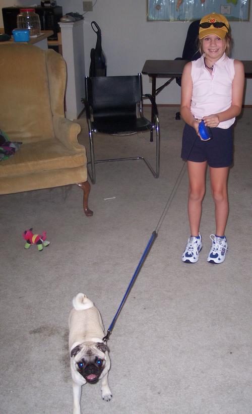 Little Sheba and Julia getting ready to go to the dog park
