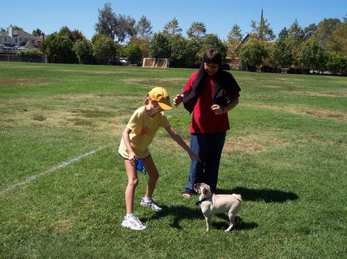 Playing with Adam and Julia