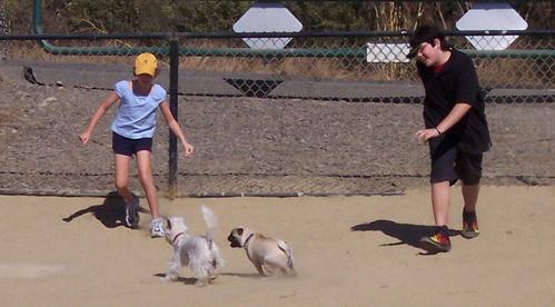 Running around with Adam and Julia and Rumsfeld