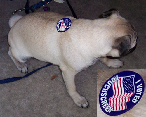 Sheba Votes witha Touch Screen Machine