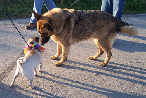 Kissing up with Ruth and Mary Right