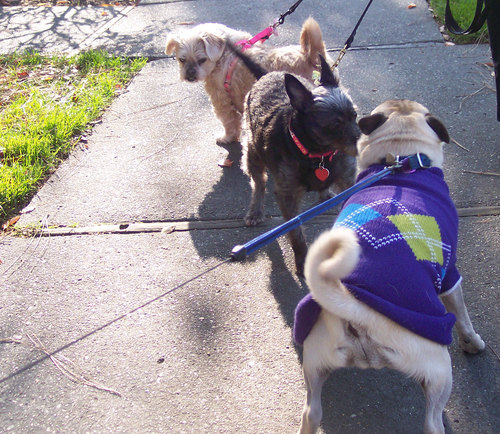 Meeting up with Ruth and Mary