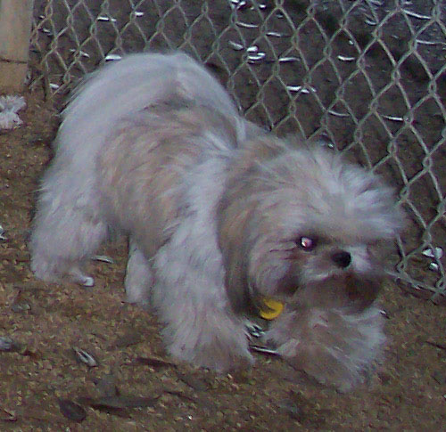 Ted and Max premiter patrol