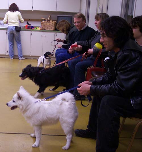 Class Begins - Right hand side - DeeDee, Willis and Little E