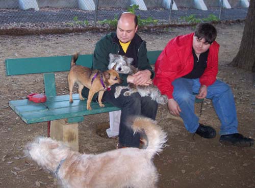 Winston and Sheba resting on the bench
