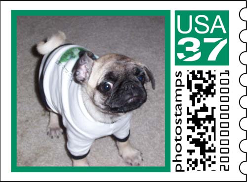 Sheba Stamp Series 2 Number 1