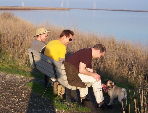 Sheba meets peeps on her walk