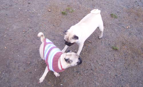 Katie's cashmere sweater and mud