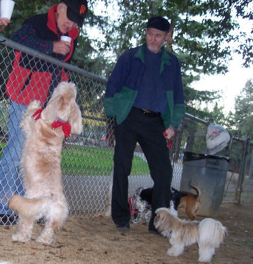 Peeps outside the fence