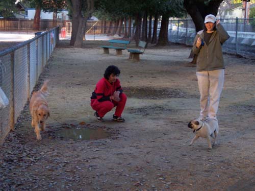 Daisy, Sheba and Peeps