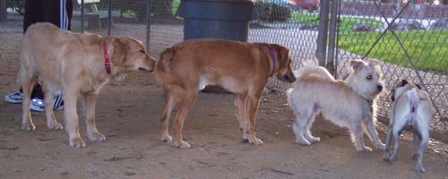 Lining up for kisses