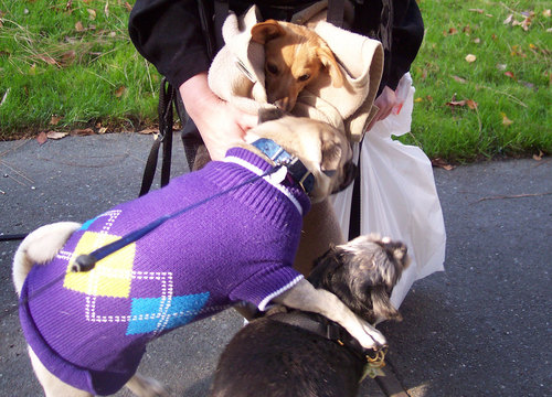 Meeting up with Ruth and Mary