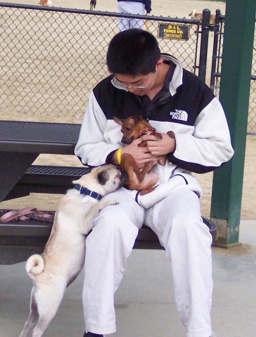 Little Dog and Sheba