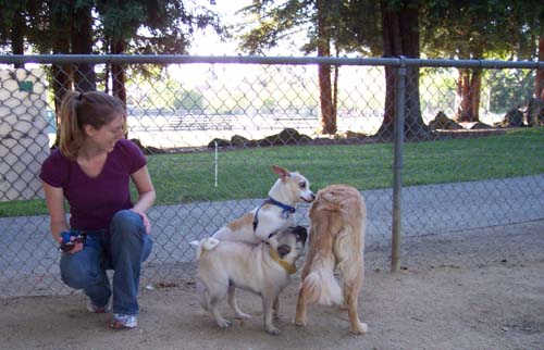 Leo and Sheba v. Daisy