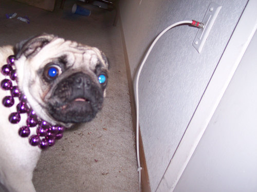 TV BAD Computer GOOD