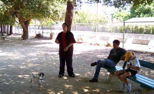 Adam Juggling for Sheba