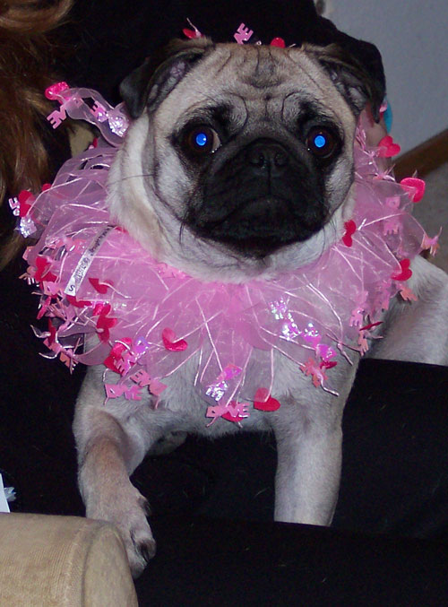 Happy Valentine's Day