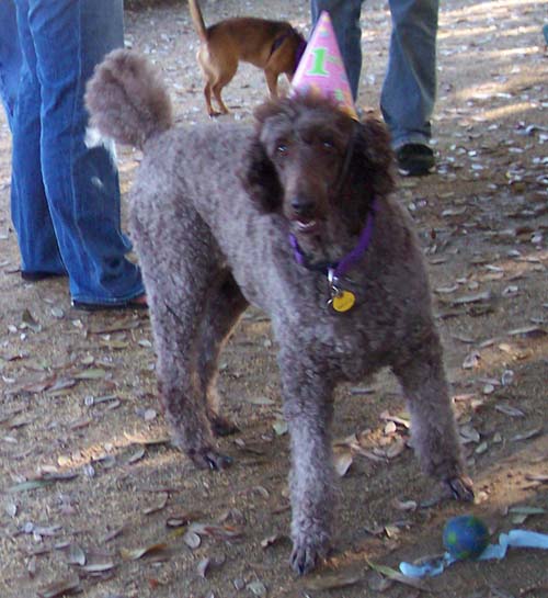 Camille wearing a hat