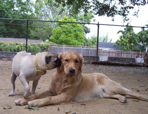 Posing for the camera