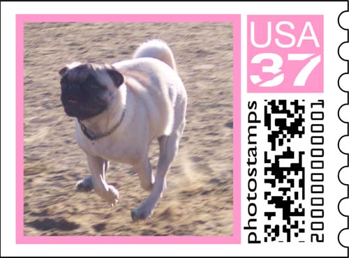 Sheba Stamp Series 2 Number 2