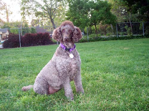 Camille posing for the camera