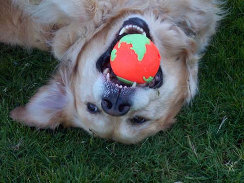 Other Daisy with a ball