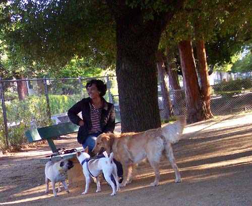 A break with the peeps