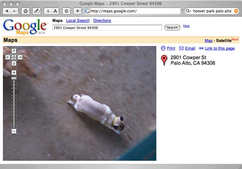 Daisy chasing Sheba view