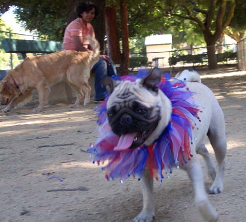 July 4th American fun