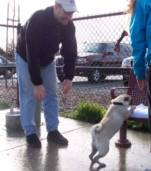 Clean Towel + Dirty Pug = Dirty Towel